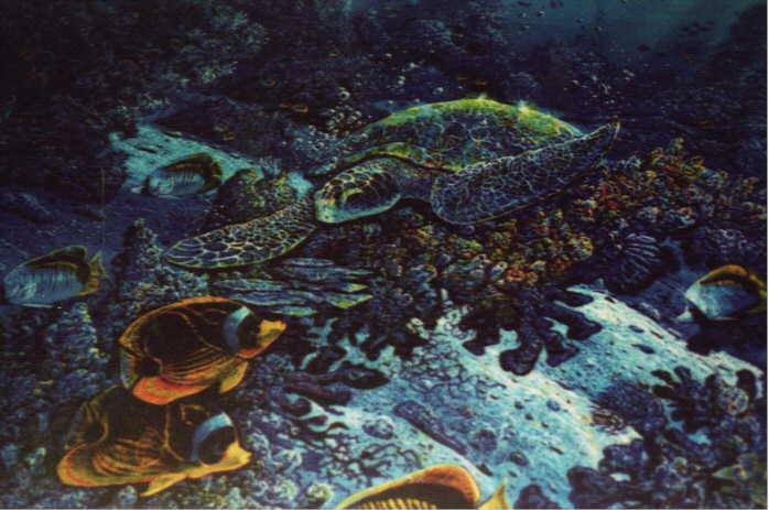 ARTIST RENDERING UNDERSEA